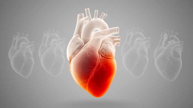 Landmark heart atlas reveals two-phase collapse of the failing right ventricle