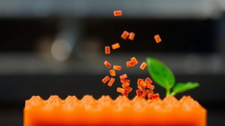 Nanomaterial Sensors Catch Toxic Food Adulterants at Ultra-Trace Levels
