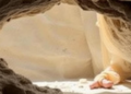 The Rock Beneath Rewrites the Chemistry of Makkah Balsam