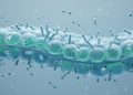 Cold Water Lipid Switch Helps Fish Virus Replicate Faster, Study Finds