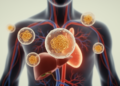 Where mRNA Vaccines Really Go: New Review Maps the Journey of Lipid Nanoparticles Through the Body