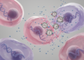 Chemotherapy Drug Speeds Ovarian Aging by Breaking the Body's Cellular Clock, Study Finds