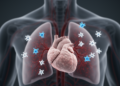 A Shrinking Thymus May Blunt Cancer Immunity in Middle-Aged Men