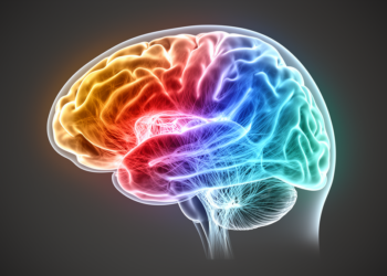 Two Separate Brain Gradients Reveal How Aging and Alzheimer's Reshape Connectivity