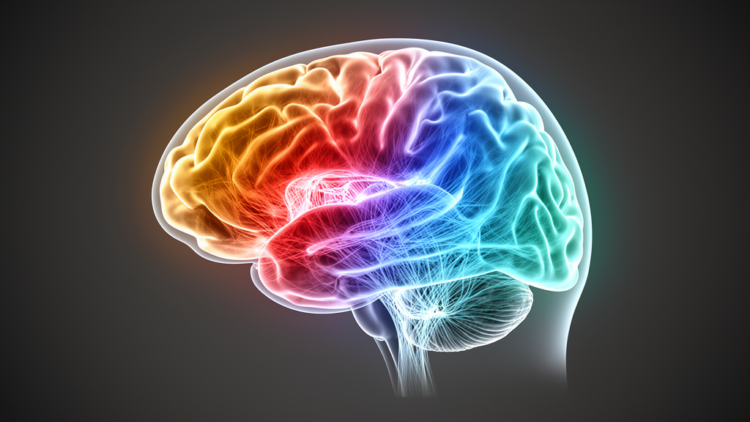 Two Separate Brain Gradients Reveal How Aging and Alzheimer's Reshape Connectivity