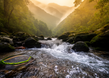 Tiny River Microbes Leave a Measurable Mark on Carbon Dioxide in Taiwan's Rugged Mountains