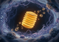 The Golgi Apparatus Emerges as a Hidden Driver of Alzheimer's Disease