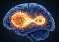 Why EGFR Drugs Fail in Glioblastoma: A STAT3 Escape Route Takes Center Stage