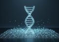 Statistical Imputation of Intelligence Scores Expands Genetic Discovery in UK Biobank