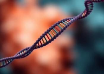 New Tool Reads Hidden Host DNA in Microbiome Data to Predict Biological Sex