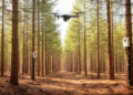 Sensors and Drones Reveal How Thinned Spruce Forests Weather Drought