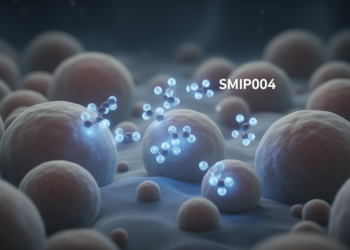 Experimental Drug SMIP004 Hunts Down Dormant Cancer Cells Left Behind by Chemotherapy