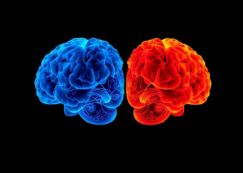AI Reveals Two Distinct Brain Subtypes Behind Suicide Risk in Bipolar Depression