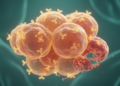 Cancer's Sphingolipid Code: How One Lipid Family Decides Cell Fate Across Tumors