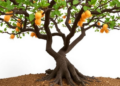 Hidden Fungal Partners May Decide the Fate of a Rare Chinese Tree