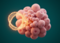 Circular RNA Revealed as Hidden Brake on Colorectal Cancer Growth