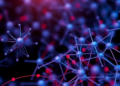 Physics Meets Machine Learning in New Framework for Trustworthy Materials Discovery