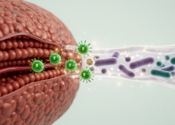 Gut microbes and T cells drive chronic liver disease through a two-way immune dialogue