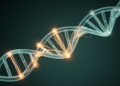 Hidden Genetic Threads Link Cancers Through Shared Regions and Pathways