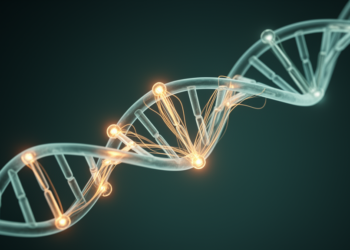 Hidden Genetic Threads Link Cancers Through Shared Regions and Pathways