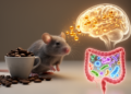 Coffee Compound Trigonelline Eases Parkinson's Symptoms in Mice by Calming Brain Inflammation and Reshaping Gut Microbes