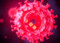Self-Assembling Peptide Turns Tumor Cells Into Antibody Magnets for Cancer Immunotherapy