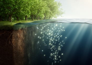 NASA's New Earth System Model Tracks Carbon From Forest Canopy to Ocean Depths
