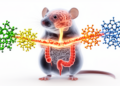 Four Plant Flavonoids Show Distinct Powers Against Gut-Driven Brain Fog in Mouse Colitis