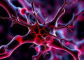 Blood Protein Surge Reveals Nerve Damage From Common Lymphoma Chemotherapy
