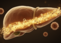 Lactate Fuels a Hidden Molecular Chain That Helps Liver Cancer Evade Immunity