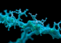 MUC1: The Sticky Protein That Turns Guardian of Epithelia Into Engine of Cancer