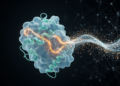 Deep Learning Reads Molecular Dynamics to Decode Protein Allostery