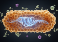 R-Loop Gene Signature Predicts Survival and Immune Landscape in Esophageal Cancer