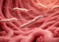 Sleeping Sickness Parasite Invades the Uterus and Disrupts Reproductive Hormones