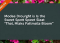 Moderate Drought Is the Sweet Spot That Makes Bougainvillea Bloom, Study Finds