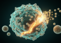Silencing PD-L1 Reveals a Hidden Phosphatase Axis That May Drive Gastric Cancer Survival