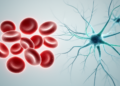Blood Cells From 80-Year-Olds Rejuvenated Into Brain Cells With Molecular Age Under 20