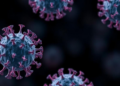 Hypermutation Gives Weak Cancer Drivers a Head Start, Study Finds