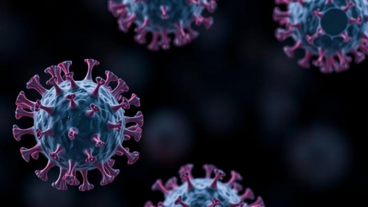Hypermutation Gives Weak Cancer Drivers a Head Start, Study Finds
