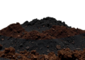 Magnetic Trick Reveals That Rising Soil Carbon May Be an Illusion
