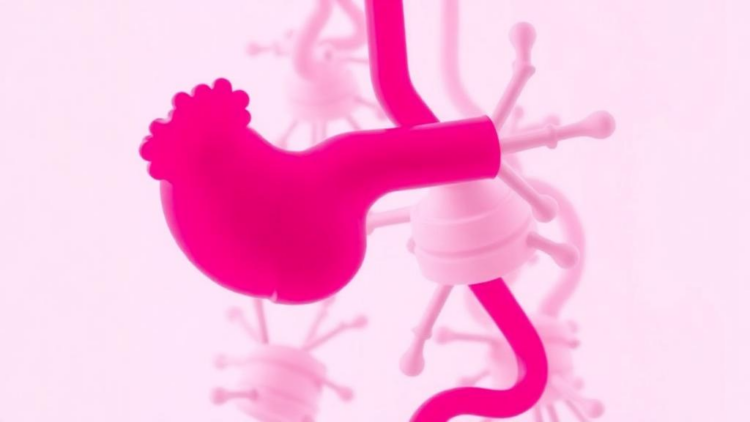 Pancreatic Cancer Burden Climbs in China and the US as Risk Factors Diverge