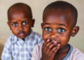 Blood Test Survey in Malawian Toddlers Reveals Hidden Tuberculosis Transmission Hotspots