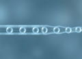 Simple Plasma Test Tracks Antibiotic Prodrug and Its Active Form in One Run
