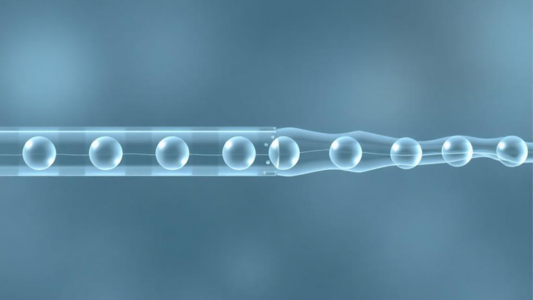 Simple Plasma Test Tracks Antibiotic Prodrug and Its Active Form in One Run
