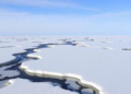 Deep Thaw in the High Arctic Exposes Vulnerable Soil Carbon, Study Finds