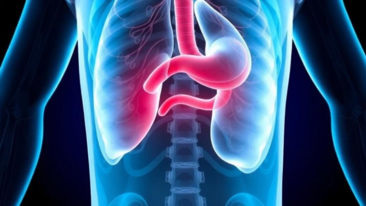 When Kawasaki Disease Hides in the Belly: Gallbladder Clues That Doctors Often Miss