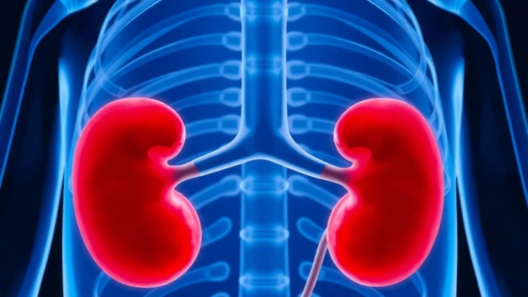 Simple Blood Ratio Shows Promise for Spotting Aggressive Kidney and Ureter Cancer Before Surgery