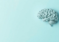 Brain Tumor Survivors Map Their Shifting Symptom Journey From Diagnosis to Daily Life