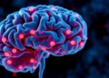 Epigenetic Clocks Stay Ticking in Brain Fluid After Bleeding Stroke