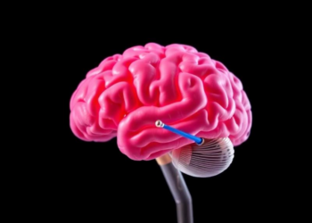 Donor-Funded Seed Grants Position Texas Brain Scientists for Major Dementia Research Push